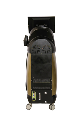 OEM Salon Lazer Saç Kaldırma Makinesi Diyot 808 Lazer Makinesi İngilizce Diller Seçeneği
