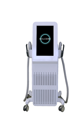 Kilo kaybı EMS Slim Makine 4000W Elektromanyetik vücut zayıflatma EMS heykel makinesi