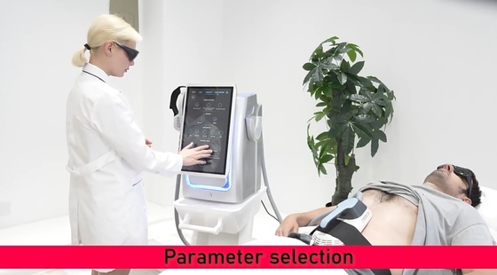 Güzellik Salonu EMS Ağırlaştırma Makinesi Masaüstü Tip Kilo kaybı / Deri sıkıştırma için