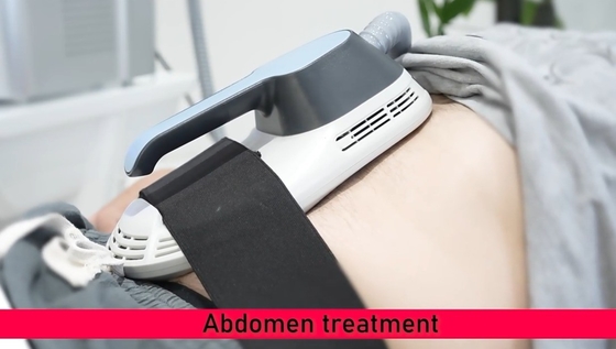 Güzellik Salonu EMS Ağırlaştırma Makinesi Masaüstü Tip Kilo kaybı / Deri sıkıştırma için