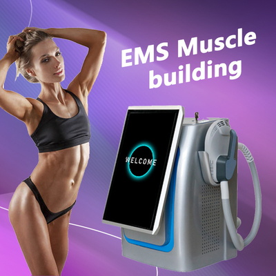 600w 5 El EMS heykel makinesi Neo RF 14 Tesla Bodi heykel makinesi vücut zayıflatma
