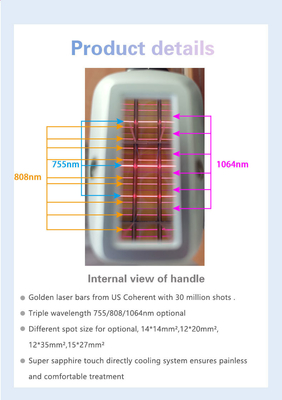 808nm-810nm çok fonksiyonel güzellik makinesi sabit stil ROHS TGA onaylı