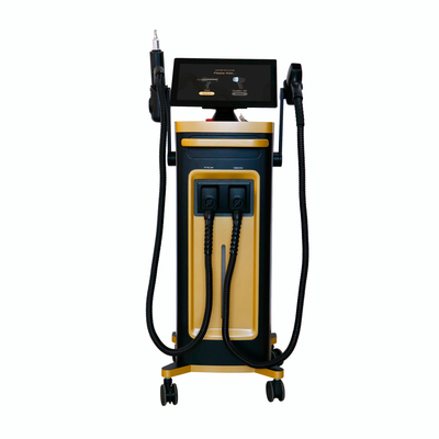 2 in 1 Lazer Diyot Makinesi Taşınabilir ve Sabit Dövme Kaldırma 810nm 808nm Q-Switched ND Yag Diyot Lazer 810nm